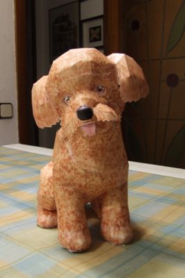 perrito
