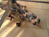 Filename=IMG_2439.jpg
Filesize=252KiB
Dimensions=960x720
Date added=Aug 18, 2014 IMG_2439.jpg