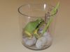 -DSCN0626.JPG