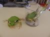 -DSCN0631.JPG