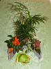 -DSCN0647.JPG