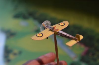 L'ordre des cocardes n'est pas encore clairement défini
