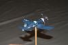 Filename=5-F4U4B_28229.jpg
Filesize=182KiB
Dimensions=601x400
Date added=Dec 29, 2024 5-F4U4B_28229.jpg
