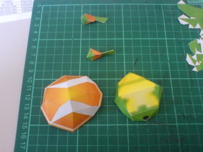 tortue-j3a.jpg