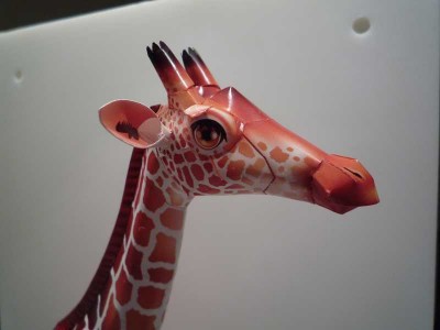 Girafe 005.jpg