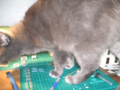 DSCF1065.JPG