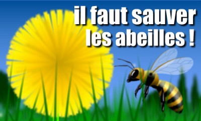 cc_el_110008.jpg