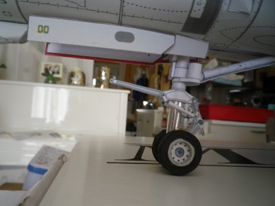 IMGP0009.JPG